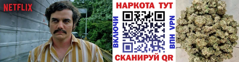 Наркота Разумное ссылка на мегу как зайти  ГАШ  Конопля  A-PVP 