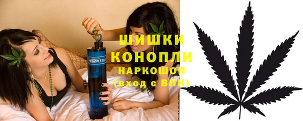 ПСИЛОЦИБИНОВЫЕ ГРИБЫ Аркадак