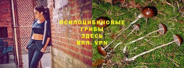 герыч Алзамай